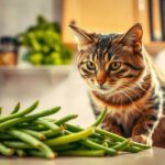 can cats eat green beans